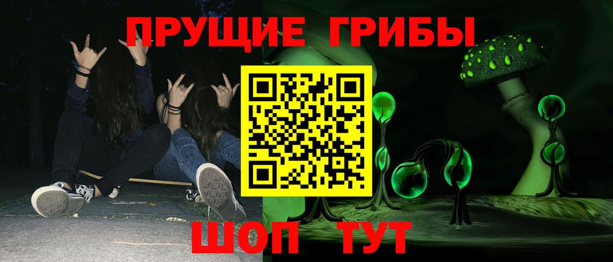 Псилоцибиновые грибы Magic Shrooms  сколько стоит  Вход с VPN  Санкт-Петербург  Галлюциногенные грибы Psilocybine cubensis 